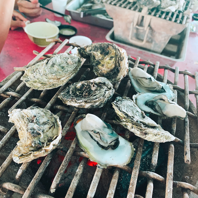 澎湖旅遊-海洋牧場